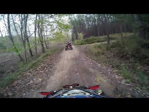 Meia via Team Hollywood