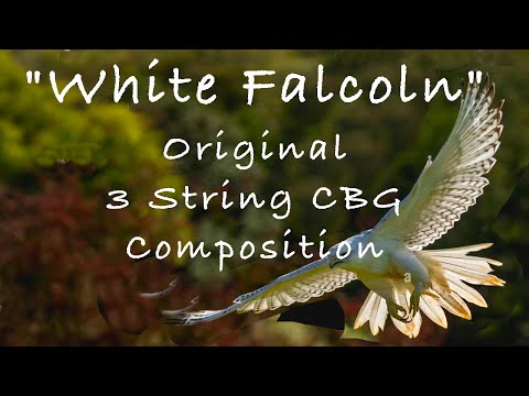 "White Falcon" Original CBG Composition Open G Tuning #3stringcbg #cigarboxguitar