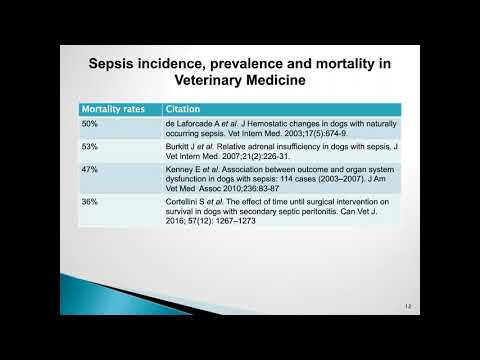 Surviving Sepsis in Veterinary Medicine: Development of Organ Failure