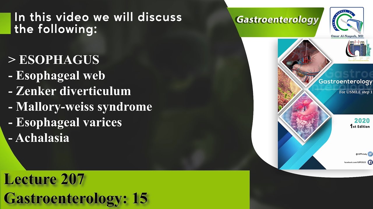 Esophageal web | Zenker diverticulum | Mallory-weiss syndrome | Esophageal varices | Achalasia