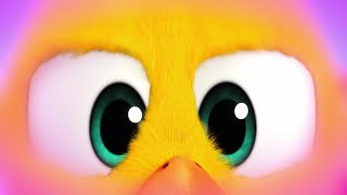 In Chicky's dream | Where's Chicky? | Cartoon Collection in English for Kids | New episodes