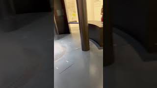 竜巻を見てドヤ顔?