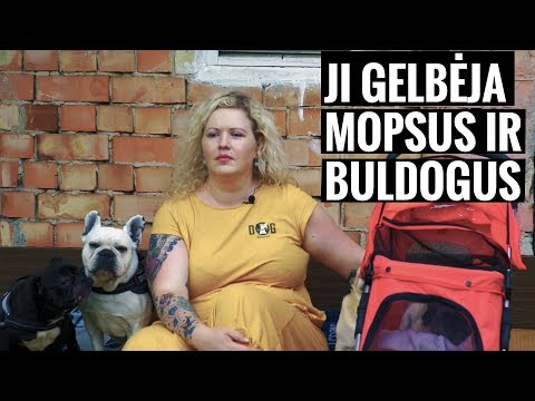 svorio netekimas 40 svarų per 3 mėnesius