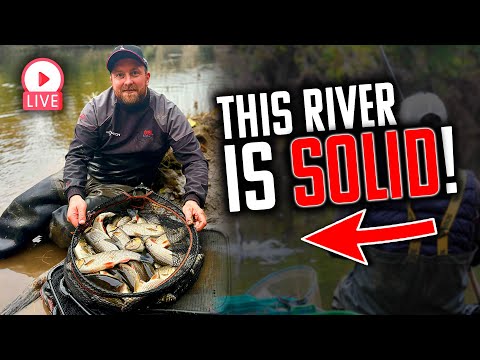 The BEST river fishing in the UK | River Wye Festival Highlights
