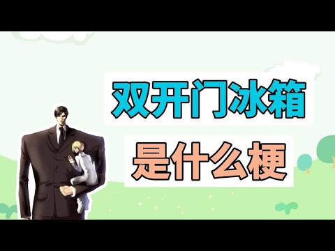 雙開門