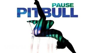 Pitbull - Pause (Audio)