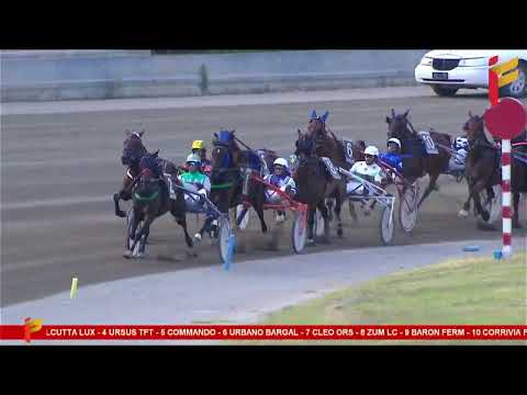 V Corsa del 28 Giugno 2023 - Memorial E. Serafini - 5 Anni ed oltre - Metri 1600