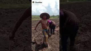 Download lagu corona versi madura mp3