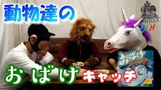 初めておばけキャッチしたらメチャメチャ楽しかった