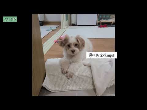 아이콘