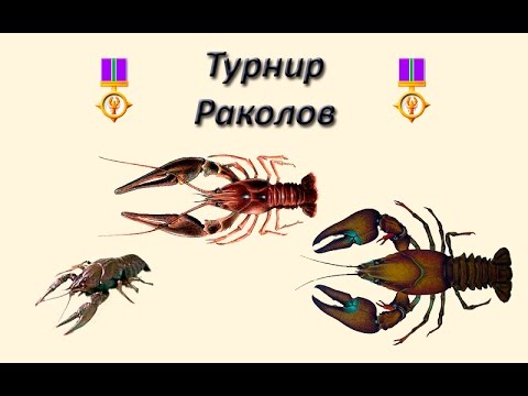 Русская Рыбалка 3.99 (Russian Fishing) Турнир Раколов #1