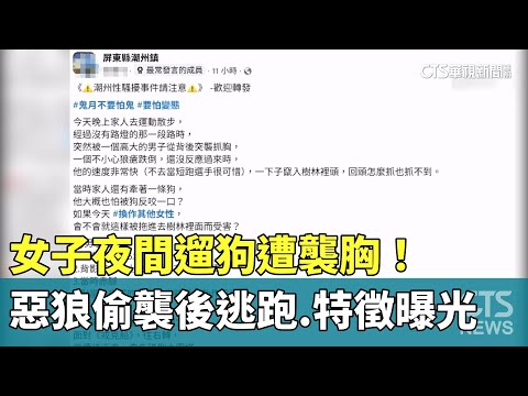 女子夜間遛狗遭襲胸！　惡狼偷襲後逃跑.特徵曝光