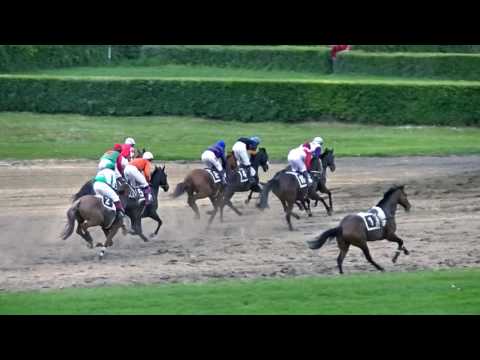 Ohlédnutí: 8. 5.  2017 - Zahajovací dostihový den