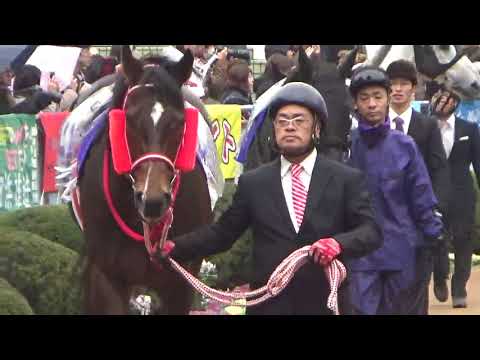 2018.12.22 中山大障害パドック☆タイセイドリーム