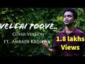 Vellai Poove Cover Song Hi Hello Kadhal Gouri G Kishan Sarjano Khalid Ft Ambadi