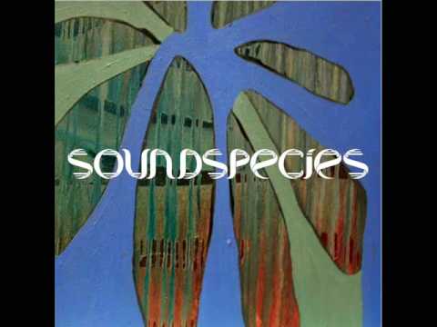Soundspecies EP- STARWARS- (burntprogress)