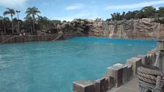 Empty Pool at Disney's Typhoon Lagoon - Tidal Wave