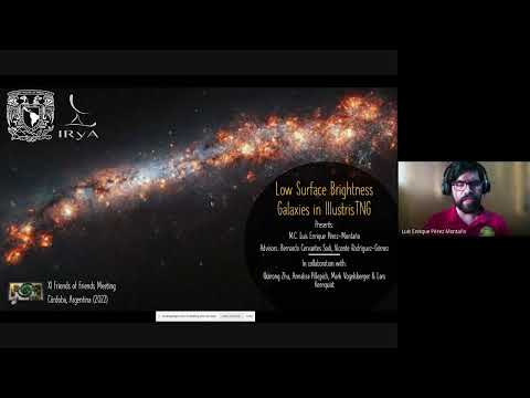 FoF 2022 - Luis Enrique Pérez Montaño: Low Surface Brightness Galaxes in the IllustrisTNG Simulation