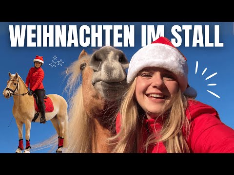 CHRISTMAS AT THE STABLES 🎅🏻🎄