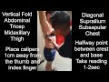 Skinfold Protocol Fitness Programs
