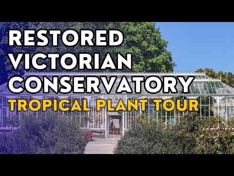 Tropical plant tour in a restored Victorian conservatory! (Wentworth Castle & Gardens