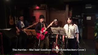 The Harries  - She Said Goodbye (The Knickerbockers Cover)
