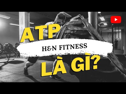 O que é ATP?