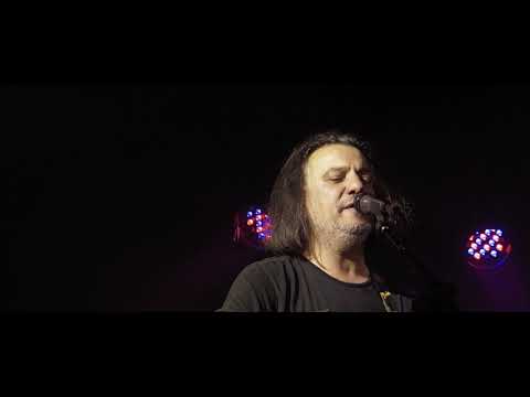 Towering flowers   We are not from here   Live