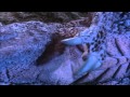 Kaiju Dinosaur Stomp 2 HD 720p