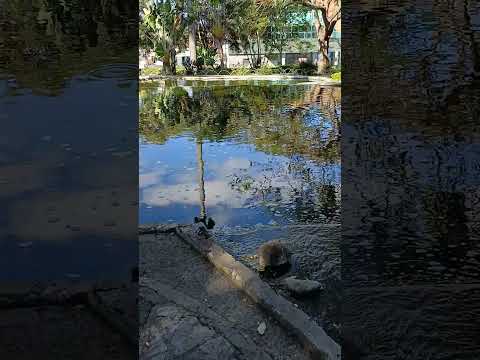 Praça em Vitória da Conquista-BA