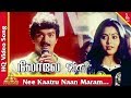 Nee Kaatru Naan Maram Song Nilaave Vaa Tamil Movie Songs Vijay Suvalakshmi நீ காற்று