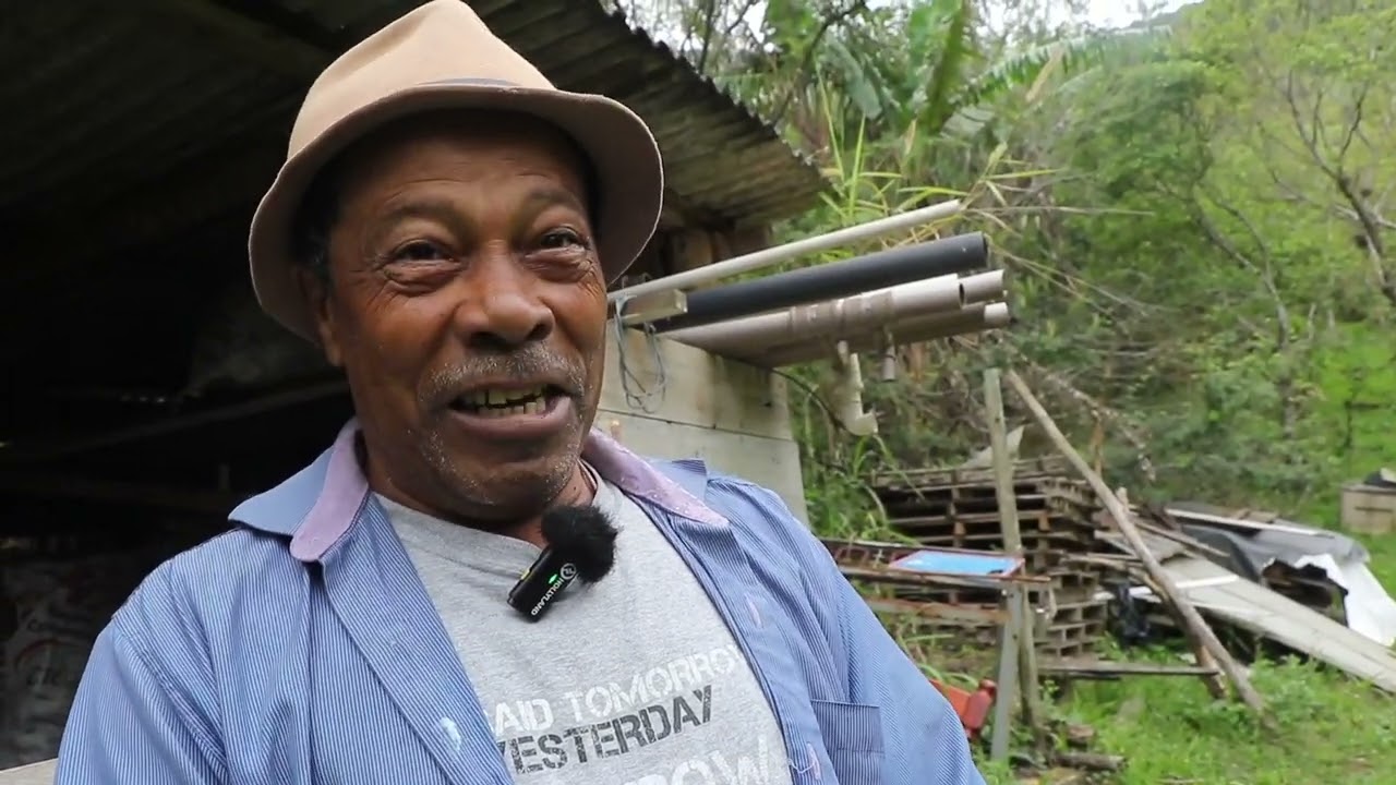 VALMIRO MACHADO - QUILOMBO DO MORRO DO FORTUNATO - GAROPABA SC