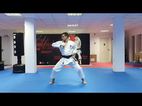 JKA Kihon Examination - 1st KYU - Brown Belt