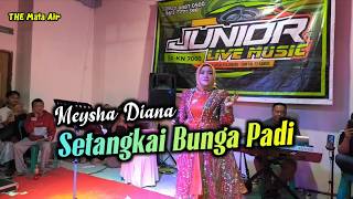 Download lagu SETANGKAI BUNGA PADI - MEYSHA DIANA | DANGDUT COVER mp3