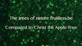 Jesus Christ the Apple Tree ~ Jane Siberry ~ lyric video