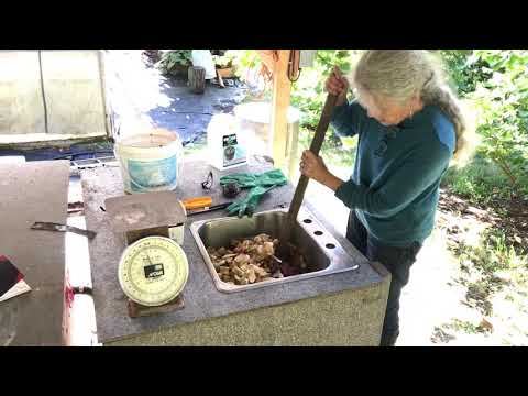 My Wonderful Anaerobic Digester