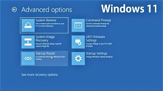 How to fix Windows 11 Recovery Error Blue Screen Automatic Restart Loop Fix