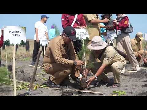 5 Tahun Transformasi BUMN, PLN Konsisten Jaga Kelestarian Lingkungan di Pantai Samas DIY