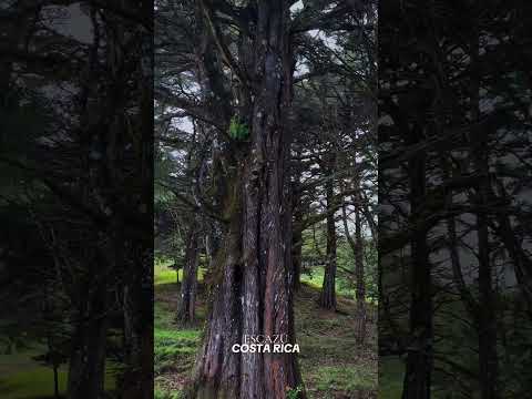 Espectacular vista de San José desde las Montañas de Escazú COSTA RICA