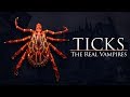 Documentary Health - Ticks - The Real Vampires