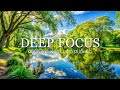 Deep Focus Music To Improve Concentration - 12 Hours of Ambient Study Music to Concentrate #814