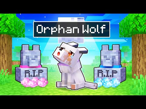 Aphmau Is An ORPHAN WOLF In Minecraft!