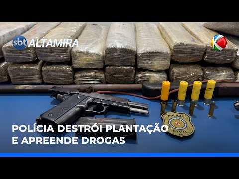 OPERAÇÃO DESARTICULA CULTIVO DE MACONHA EM ANAPU (PA) | SBT Altamira