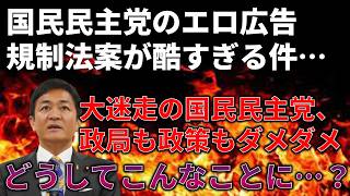 国民民主党に何度目の失望をした件＆副首都法案がクソな理由を解説