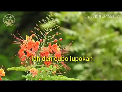 Cinto Sautiah Mego          Oddy Malik