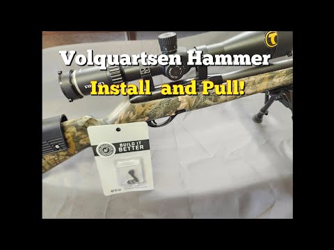 Ruger 10/22 Volquartsen Target Hammer and Shim Kit Installation