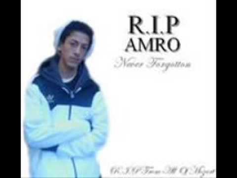 Rebellion - Reply 2 Trible