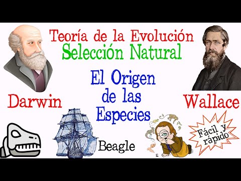🐚Darwin and Wallace's Theory of Evolution🔍 [Easy and Fast] | BIOLOGY |