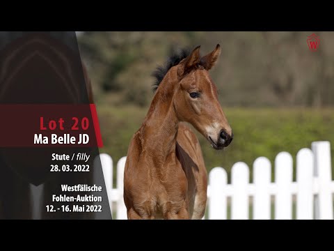 Fohlen-Auktion Lot 20 Ma Belle JD Stute v. Maxim - Escolar