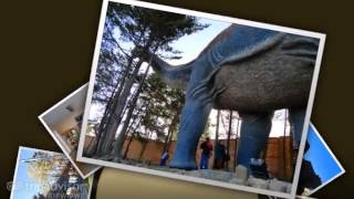 preview picture of video 'Parque Cretacico Dinosaur Park - Sucre, Bolivia'